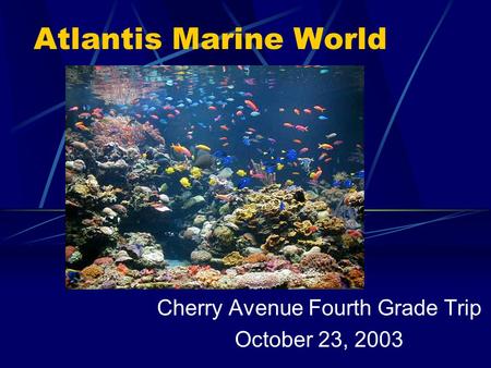 Atlantis Marine World Cherry Avenue Fourth Grade Trip October 23, 2003.
