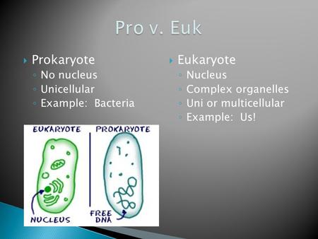  Prokaryote ◦ No nucleus ◦ Unicellular ◦ Example: Bacteria  Eukaryote ◦ Nucleus ◦ Complex organelles ◦ Uni or multicellular ◦ Example: Us!