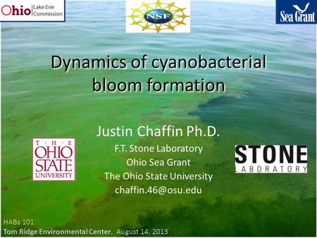 Dynamics of cyanobacterial bloom formation Justin Chaffin Ph.D. F.T. Stone Laboratory Ohio Sea Grant The Ohio State University HABs.