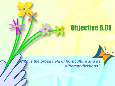 What is the broad field of horticulture and its different divisions?