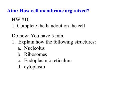 Aim: How cell membrane organized?