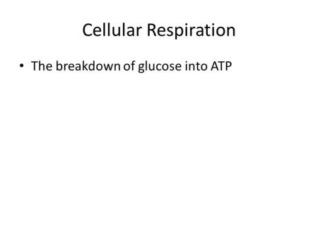 Cellular Respiration The breakdown of glucose into ATP.