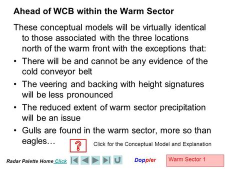 Radar Palette Home Click Doppler Warm Sector 1 Ahead of WCB within the Warm Sector These conceptual models will be virtually identical to those associated.