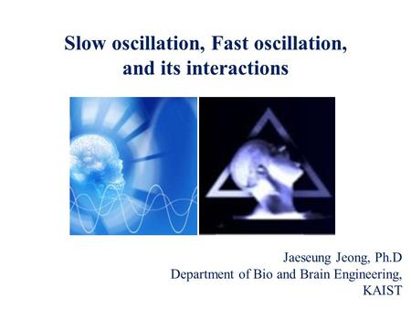 Slow oscillation, Fast oscillation, and its interactions