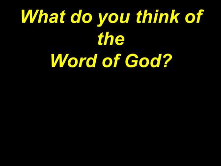 What do you think of the Word of God?. 3 word answer… Why so important? Eden Germany St. Louis.