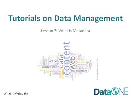 What is Metadata Lesson 7: What is Metadata CC image by bonus on Flickr.