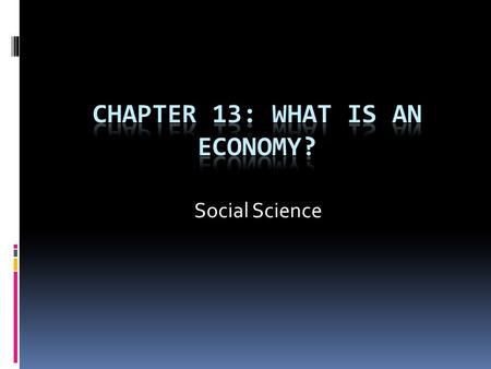 Chapter 13: What is an economy?