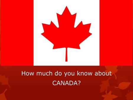 How much do you know about CANADA?. Who is the Prime Minister of Canada? 1)Justin Trudeau 2)David Johnston 3)Queen Elizabeth 4)Steven Harper.