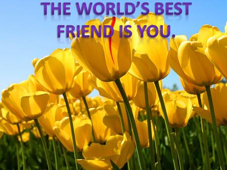The World’s best friend is you.
