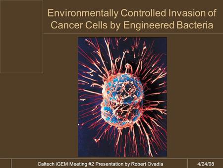 4/24/08Caltech iGEM Meeting #2 Presentation by Robert Ovadia Environmentally Controlled Invasion of Cancer Cells by Engineered Bacteria.