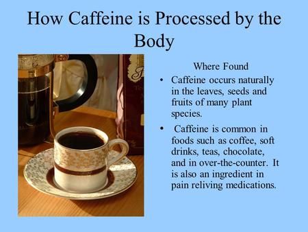 How Caffeine is Processed by the Body Where Found Caffeine occurs naturally in the leaves, seeds and fruits of many plant species. Caffeine is common in.