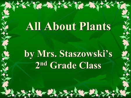 All About Plants by Mrs. Staszowski’s 2 nd Grade Class.