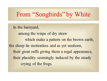 From “Songbirds” by White In the barnyard, among the wisps of dry straw which make a pattern on the brown earth, the sheep lie motionless and as yet unshorn,