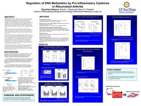 Regulation of DNA Methylation by Pro-Inflammatory Cytokines in Rheumatoid Arthritis Kazuhisa Nakano, David L. Boyle and Gary S. Firestein Division of Rheumatology,
