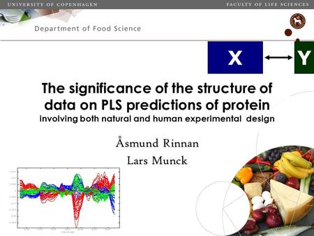 X Y The significance of the structure of data on PLS predictions of protein involving both natural and human experimental design Åsmund Rinnan Lars Munck.