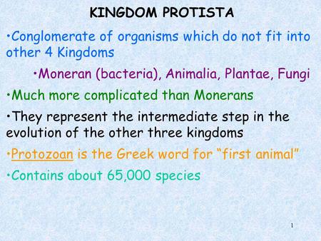 KINGDOM PROTISTA Conglomerate of organisms which do not fit into other 4 Kingdoms Moneran (bacteria), Animalia, Plantae, Fungi Much more complicated than.