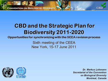 CBD and the Strategic Plan for Biodiversity 2011-2020 Opportunities for synchronizing with the SEEA revision process Sixth meeting of the CEEA New York,