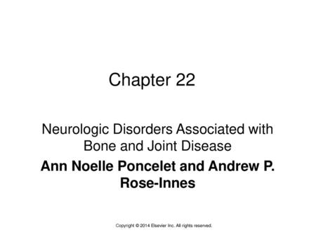 Ann Noelle Poncelet and Andrew P. Rose-Innes