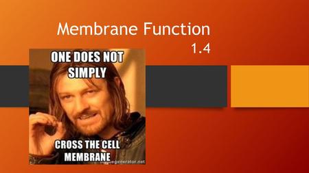 Membrane Function 1.4.