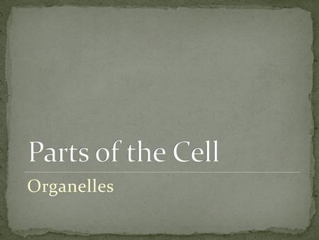 Parts of the Cell Organelles.