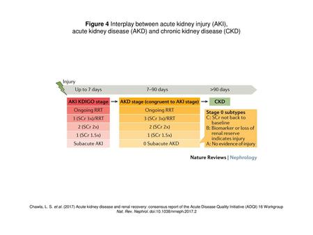 Figure 4 Interplay between acute kidney injury (AKI),