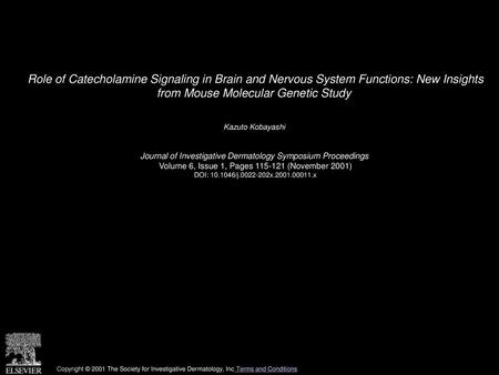 Role of Catecholamine Signaling in Brain and Nervous System Functions: New Insights from Mouse Molecular Genetic Study  Kazuto Kobayashi  Journal of Investigative.