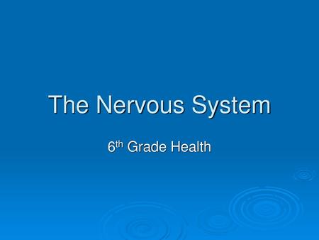 The Nervous System 6th Grade Health.