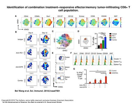 Identification of combination treatment–responsive effector/memory tumor-infiltrating CD8+ T cell population. Identification of combination treatment–responsive.