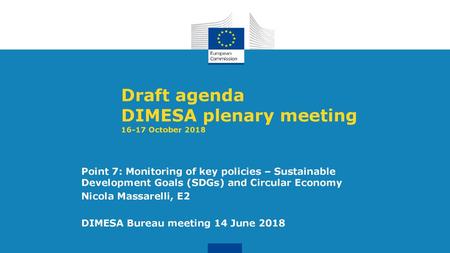 DIMESA plenary meeting