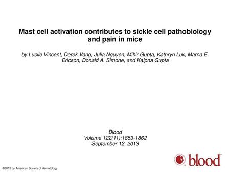 Mast cell activation contributes to sickle cell pathobiology and pain in mice by Lucile Vincent, Derek Vang, Julia Nguyen, Mihir Gupta, Kathryn Luk, Marna.