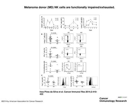 Melanoma donor (MD) NK cells are functionally impaired/exhausted.