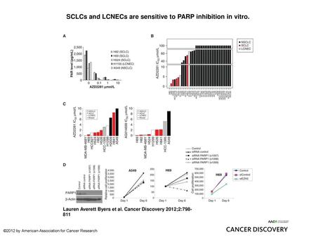 SCLCs and LCNECs are sensitive to PARP inhibition in vitro.