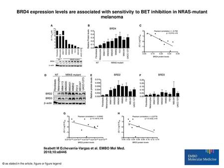 BRD4 expression levels are associated with sensitivity to BET inhibition in NRAS‐mutant melanoma BRD4 expression levels are associated with sensitivity.