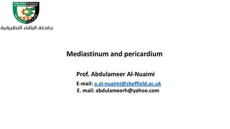 Mediastinum and pericardium