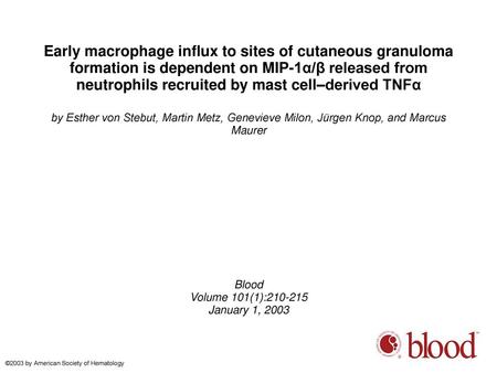 Early macrophage influx to sites of cutaneous granuloma formation is dependent on MIP-1α/β released from neutrophils recruited by mast cell–derived TNFα.