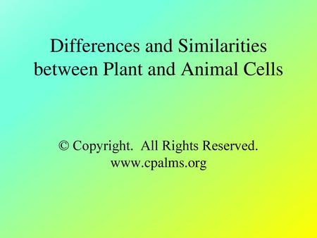 Differences and Similarities between Plant and Animal Cells