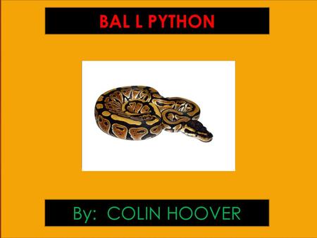 BAL L PYTHON By: COLIN HOOVER