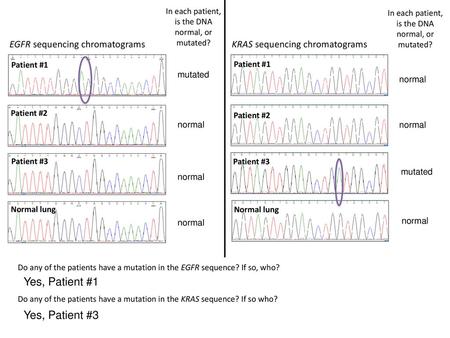 Yes, Patient #1 Yes, Patient #3 EGFR sequencing chromatograms