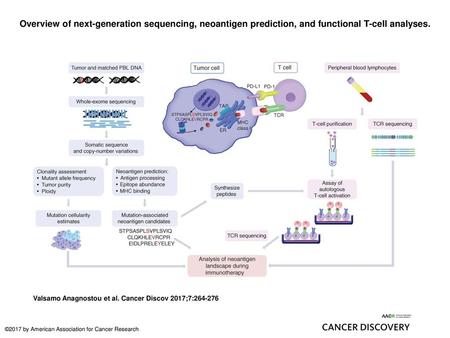Overview of next-generation sequencing, neoantigen prediction, and functional T-cell analyses. Overview of next-generation sequencing, neoantigen prediction,
