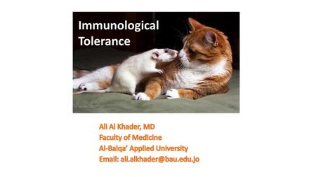 Immunological Tolerance