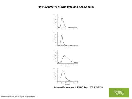 Flow cytometry of wild‐type and ΔseqA cells.