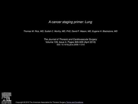 A cancer staging primer: Lung