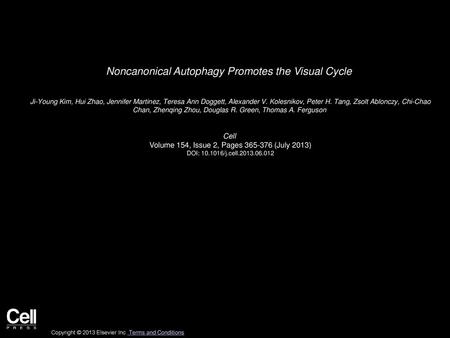Noncanonical Autophagy Promotes the Visual Cycle