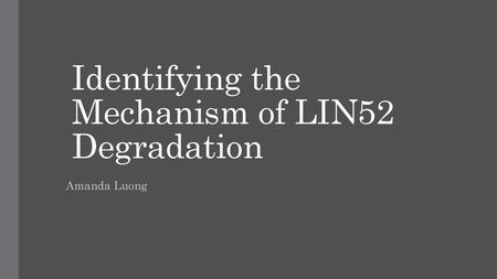 Identifying the Mechanism of LIN52 Degradation