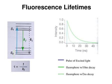 Fluorescence Lifetimes