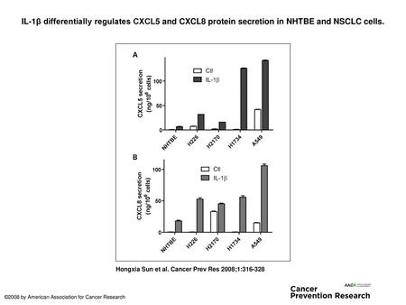 IL-1β differentially regulates CXCL5 and CXCL8 protein secretion in NHTBE and NSCLC cells. IL-1β differentially regulates CXCL5 and CXCL8 protein secretion.