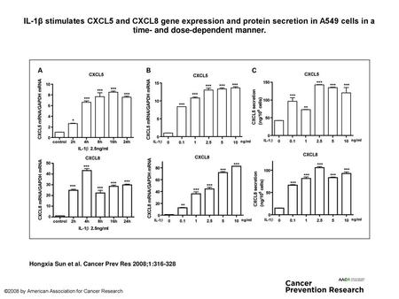 IL-1β stimulates CXCL5 and CXCL8 gene expression and protein secretion in A549 cells in a time- and dose-dependent manner. IL-1β stimulates CXCL5 and CXCL8.