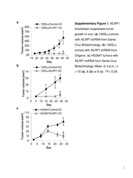 B c * a Supplementary Figure 1. NLRP1 knockdown suppresses tumor growth in vivo. (a) 1205Lu tumors with NLRP1 shRNA from Santa Cruz Biotechnology. (b)