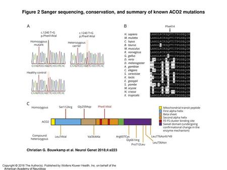 Figure 2 Sanger sequencing, conservation, and summary of known ACO2 mutations Sanger sequencing, conservation, and summary of known ACO2 mutations (A)