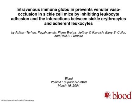 Intravenous immune globulin prevents venular vaso-occlusion in sickle cell mice by inhibiting leukocyte adhesion and the interactions between sickle erythrocytes.